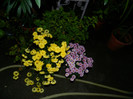 DSCN8956