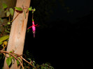DSCN8965