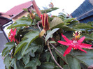DSC01130