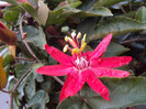 DSC01131