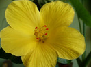 P1400976