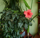 P1400981