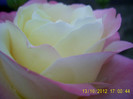 PIC_0195