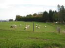 okt-2012 miei si oi in austria