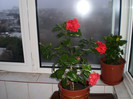 P1290094