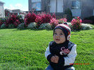 lucas 10 061