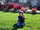 lucas 10 065
