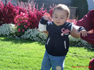lucas 10 066