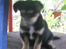 DSCN4715