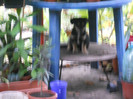 DSCN4714