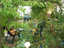 DSC09005