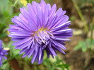 DSC08877