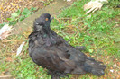 DSC00280