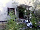 IMG0317A