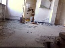 IMG0334A