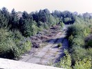 IMG0336A