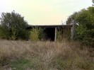 IMG0339A