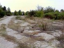 IMG0343A