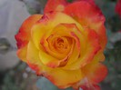 IMG_2879