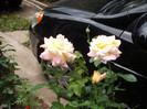 DSCF5142