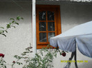 SDC12338