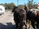IMG00006-20121002-1420