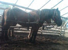 IMG00092-20121015-1535