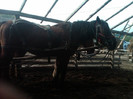 IMG00093-20121015-1535