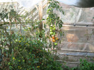 4 Octombrie 2012