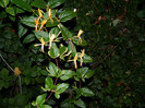 DSCN9121
