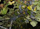 DSCN9156