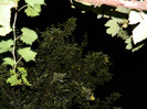 DSCN9160