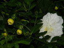 DSCN9169