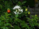 DSCN9171