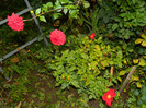 DSCN9173