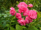 DSCN9175