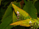 DSCN9180