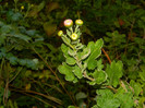 DSCN9182