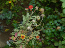 DSCN9192