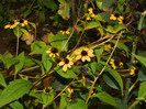 DSCN9193