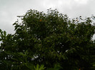 DSCN9201