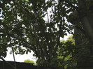 DSCN9203