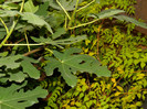 DSCN9205
