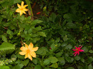 DSCN9225