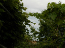DSCN9248