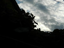 DSCN9249
