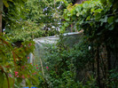 DSCN9254