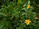 DSCN9261
