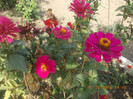 DSCN4436