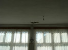 DSCF7136